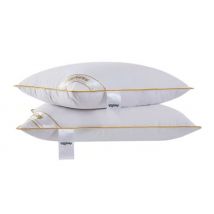 Luxury Goose Feather & Down Pillows - Set of 2 or 4!