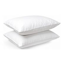 Super Comfort Duck Feather & Down Pillows - 2 or 4-Pack!