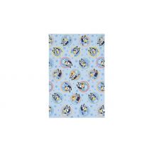 Bluey Frames Coral Fleece Blanket