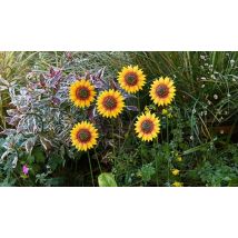 Garden Gear Metal Flower Stakes - 2 Designs