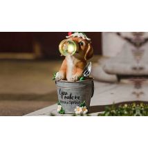 Solar-Powered Puppy with Bubble LED Garden Light