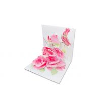 2-Pack of 3D Greeting Cards - 4 Designs!
