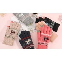 Winter Touchscreen Fleece-Lined Gloves - 6 Colours
