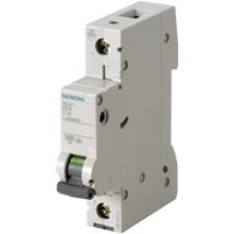 Siemens 5SL61107 Stromunterbrecher Miniatur-Leistungsschalter Typ C 1