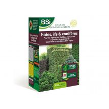 Bsi - BSI - Engrais Organo-Minéral Haie, If, Conifère - Feuillage Marcescent/Persistant - Sapins & Conifères - 4 Kg - Jusqu'à 40 m²