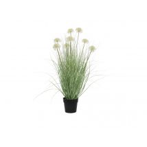 Jardideco - Herbe allium en pot plastique Ø 65 x 105 cm - Nos Envies Déco Vert Dimensions (L x l x H):65 x 65 x 105 cm Hauteur:105 cm Matière(s):Plast