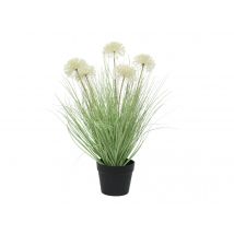Jardideco - Herbe allium en pot plastique Ø 45 x 62 cm - Nos Envies Déco Vert Dimensions (L x l x H):45 x 45 x 62 cm Hauteur:62 cm Matière(s):Plastiqu