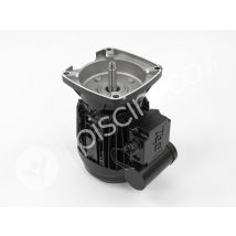 Pentair - Moteur pour pompes La Sta-Rite 1,50 CV Mono Noir, en NC