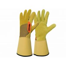 Rostaing - Gants de protection RONCIER épines et roncesTaille 10 Beige Marque:ROSTAING Matière(s):Tissu, en Tissu - 1 paire de gants Dimensions: Long