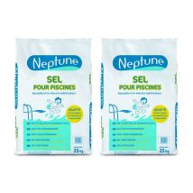 Neptune - Lot de 2 sacs de sel de piscine 25 kg Blanc, en NC - 50 kg