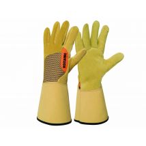 Rostaing - Gants de protection Roncier spécial épines et roncesTaille 7 Beige Marque:ROSTAING Matière(s):Tissu, en Tissu - 1 paire de gants Dimension