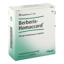 BERBERIS HOMACCORD Ampullen 10 Stück