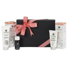 Odylique Rose Travel Set