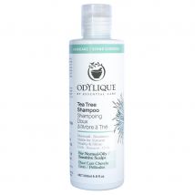 Odylique Tea Tree & Herb Shampoo - 200ml