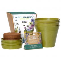 Garden Meadow Seedball & Pots Set