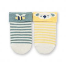 Kite Koala Time Socks