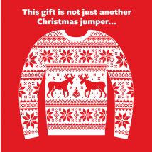 This Gift is Not Just Another Christmas Jumper
