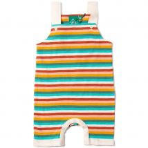 Rainbow Storytime Dungaree Shorts