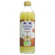 Karma Spicy Ginger Beer - 350ml