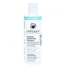 Odylique Prebiotic Gentle Herb Shampoo - 200ml