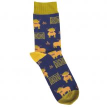 Doris & Dude Navy Highland Cow Bamboo Socks - UK 7-11