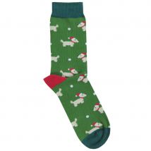 Doris & Dude Green Scotty Bamboo Socks - UK 3-7