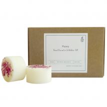 Amnesty Botanical Wax Melts - Peony - Box of 6