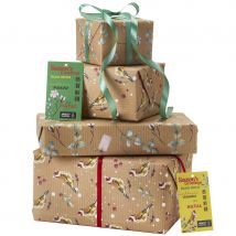 Amnesty International Botanical Birds Gift Wrap with Tags - Pack of 6