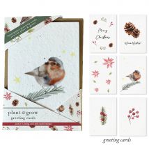 Little Green Gifts Plantable Christmas Cards - Christmas Robins - Pack of 6