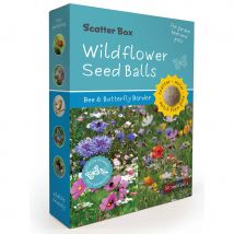 Seedball Scatter Box - Bee Butterfly Border