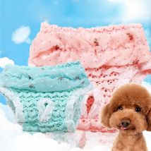 Couches lavables et réutilisables pour chiens | Couches de chien pour hommes, pantalons physiologiques durables et féminins