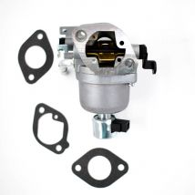 Moteur tracteur carburateur pour Briggs & Stratton carburateur 699807