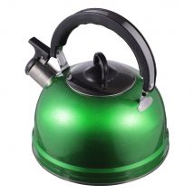 Bouilloire à eau épaisse en acier inoxydable, 1 pièce, pour cuisinière à gaz