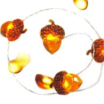 BESTLED Guirlandes lumineuses 40 Led Gland Chaîne de Lumières À Piles 10Ft Fée Lumières avec Télécommande pour Thanksgiving Automne Chambre