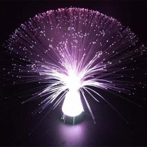 in-Heimat Beruhigende Autismus Sensorische LED Licht Lampe Mehrfarbigen Faser Optik Eis Entspannen Ändern
