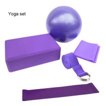 Ensemble de balles de Yoga, Extension de bloc de briques avec boucle de traction en Latex, bande élastique en caoutchouc pour la forme du corps, ensemble d&#39;entraînement pour la perte de poids