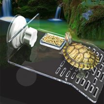 Aquarium tortue terrasse plate-forme tortue approvisionnement acrylique jetée soleil séchage Table alimentation abreuvoir Dock se prélasser décoration chenille