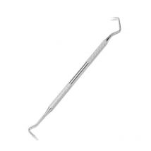 2 Pièces Dentiste Tartare Grattoir Pour Famille À Double Extrémité En Acier Inoxydable Calcul Plaque Décapant Hygiène Dentaire Dent Soins Bucco-dentaires Outils