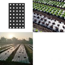 Membrane plastique perforée plantes agricoles | 5 trous 95cm * 10 Mm noir jardin plante agricole paillage semis Film PE en plastique perforé