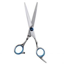 Ciseaux de coiffure en acier inoxydable | Salon , outil de styliste 6.5