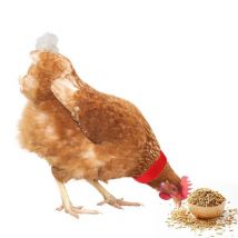 Pas de collier de coq corbeau collier de poulet sans bruit Anti-crochet collier collier fournitures