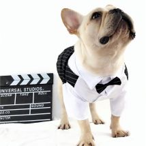 Costume de mariage pour chien MPK, Costume pour marié avec nœud papillon, chemise habillée pour chien, tenue intelligente pour chien