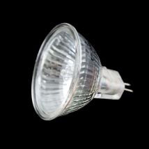 Lampe à Base de lumière halogène, ampoule halogène 35W MR16 12V Watt lampe de projecteur à douille tasse lumière froide