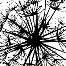 Autocollant mural en PVC avec fleur de pissenlit, noir, , amovible, Art moderne, en vinyle, pour chambre à coucher, salon, salle à manger, pour enfants