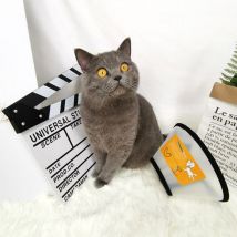 Collier de récupération pour chien et chaton, cône réglable, confortable, Anti-morsure, SLC88