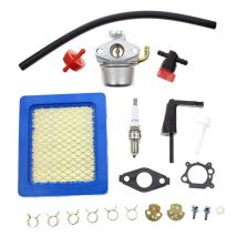 Carburateur pour Briggs & Stratton 791077 696981 artisan motoculteur Intek 190 6hp 206 5.5hp moteur