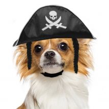 Behogar Halloween chien chat Pirate chapeau casquette pour chaton chiot dans les 5-7.5kg Cosplay fête déguisement accessoires fournitures