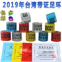 bagues de Pigeon de Taiwan avec des cartes anneau d'oiseau