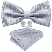argent géométrique soie noeud papillon pour hommes accessoires de mariage réglable papillon mouchoir bouton de manchette ensemble Barry.Wang