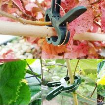 Clips fixes réutilisables pour plantes de jardin, 20 pièces, attaches pour vignes, raisins, fleurs, attaches à boucle, serre, outils Cocina